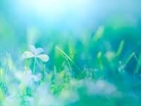 Τὸ καλύτερο ὡς ἐχθρὸς τοῦ&nbsp;καλοῦ